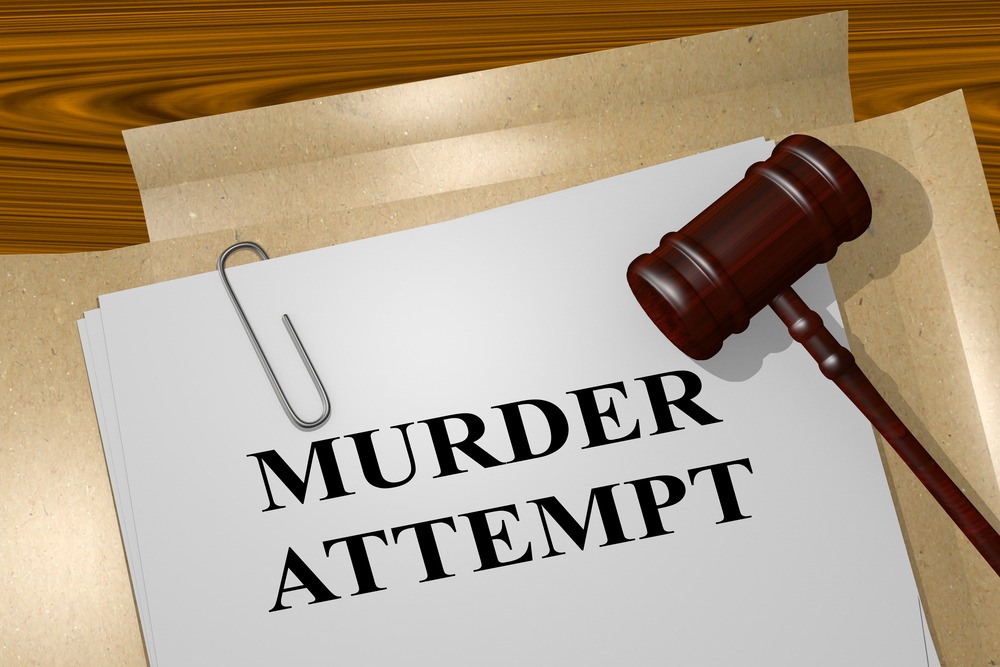 Aggravated Assault Vs Attempted Murder Marni Jo Snyder